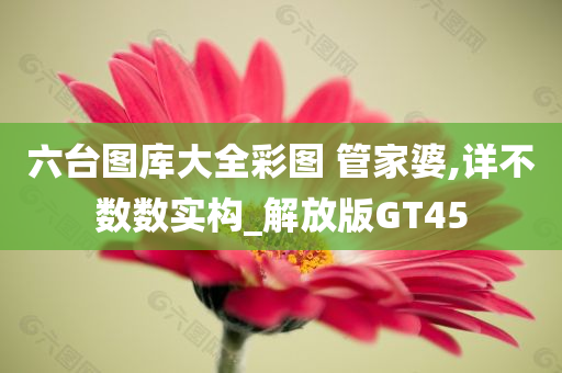 六台图库大全彩图 管家婆,详不数数实构_解放版GT45