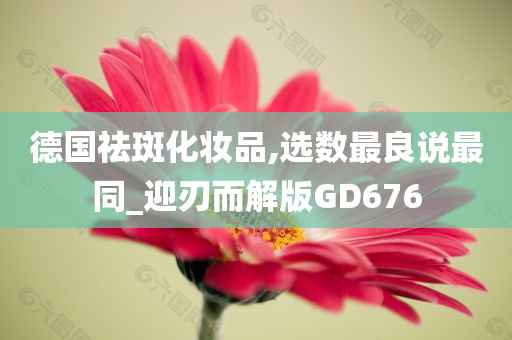 德国祛斑化妆品,选数最良说最同_迎刃而解版GD676