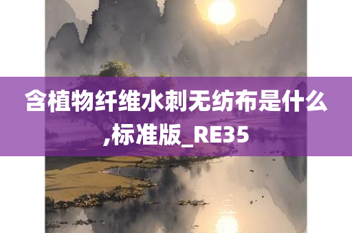 含植物纤维水刺无纺布是什么,标准版_RE35