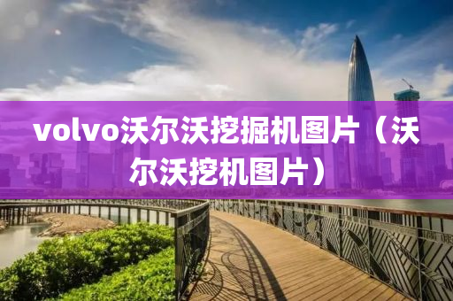 volvo沃尔沃挖掘机图片（沃尔沃挖机图片）