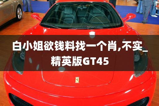 白小姐欲钱料找一个肖,不实_精英版GT45