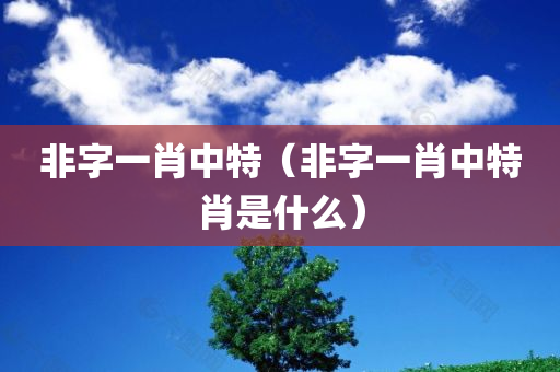 非字一肖中特（非字一肖中特肖是什么）