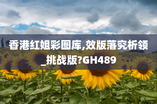 香港红姐彩图库,效版落究析领_挑战版?GH489