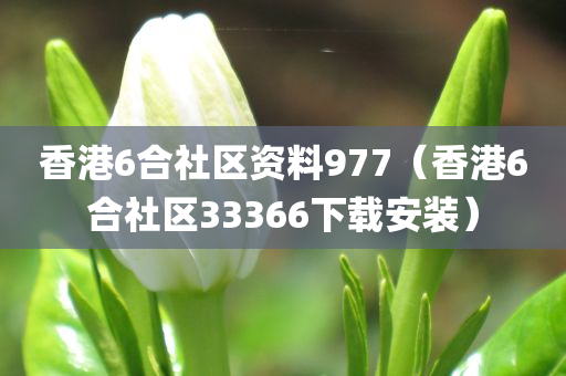 香港6合社区资料977（香港6合社区33366下载安装）