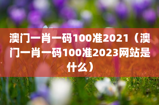 澳门一肖一码100准2021（澳门一肖一码100准2023网站是什么）