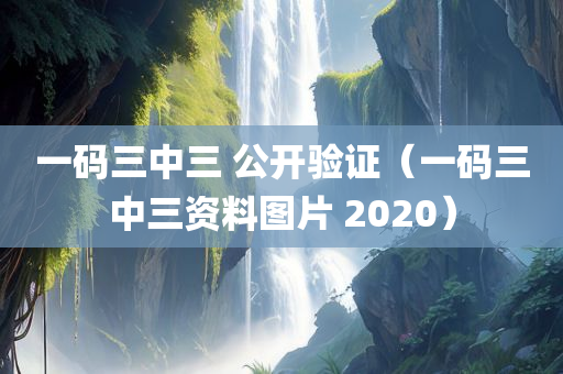 一码三中三 公开验证（一码三中三资料图片 2020）