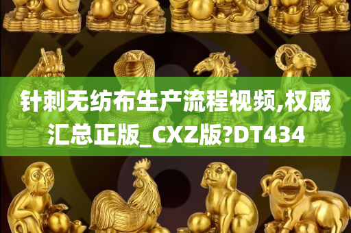 针刺无纺布生产流程视频,权威汇总正版_CXZ版?DT434