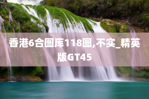 香港6合图库118图,不实_精英版GT45