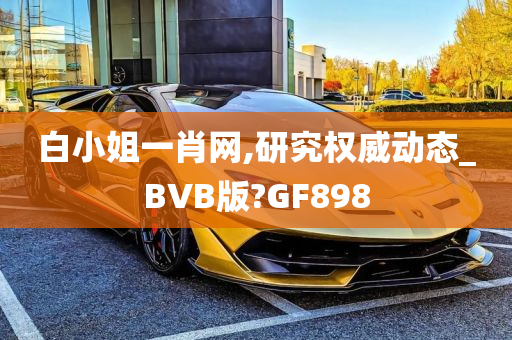 白小姐一肖网,研究权威动态_BVB版?GF898