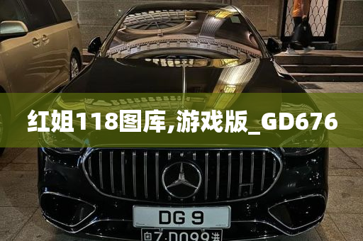 红姐118图库,游戏版_GD676