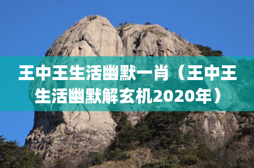 王中王生活幽默一肖（王中王生活幽默解玄机2020年）