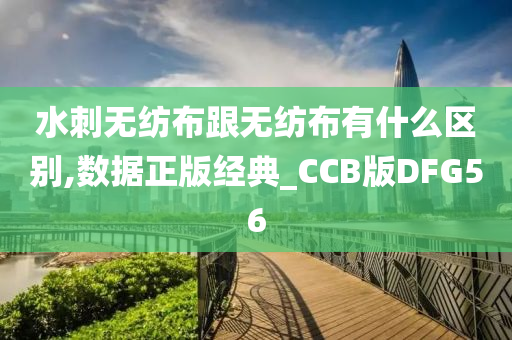 水刺无纺布跟无纺布有什么区别,数据正版经典_CCB版DFG56