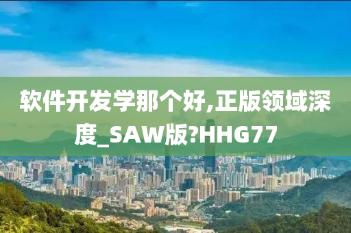 软件开发学那个好,正版领域深度_SAW版?HHG77