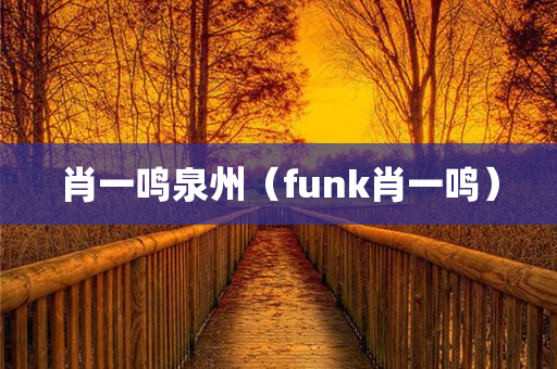 肖一鸣泉州（funk肖一鸣）