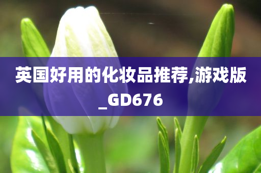 英国好用的化妆品推荐,游戏版_GD676