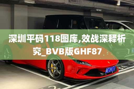 深圳平码118图库,效战深释析究_BVB版GHF87