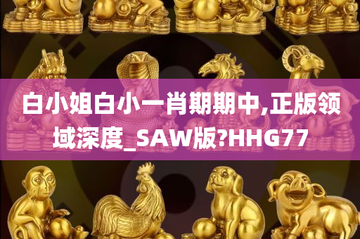 白小姐白小一肖期期中,正版领域深度_SAW版?HHG77