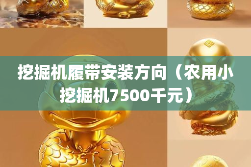 挖掘机履带安装方向（农用小挖掘机7500千元）