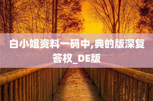 白小姐资料一码中,典的版深复答权_DE版