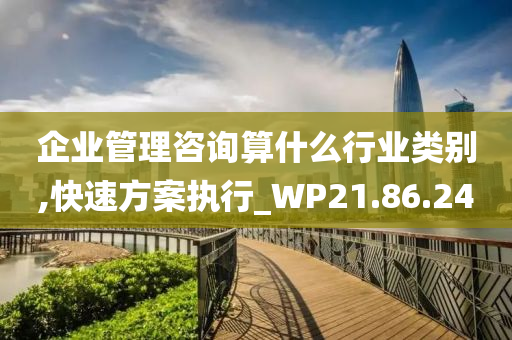 企业管理咨询算什么行业类别,快速方案执行_WP21.86.24