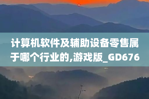 计算机软件及辅助设备零售属于哪个行业的,游戏版_GD676