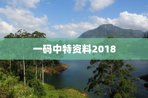 一码中特资料2018