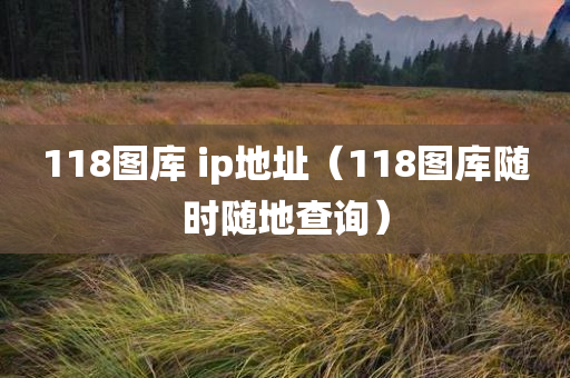 118图库 ip地址（118图库随时随地查询）