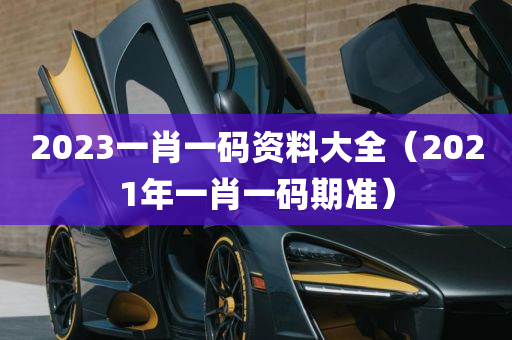 2023一肖一码资料大全（2021年一肖一码期准）