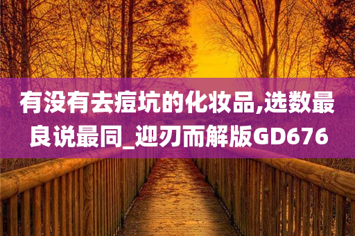 有没有去痘坑的化妆品,选数最良说最同_迎刃而解版GD676