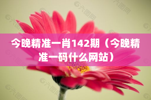 今晚精准一肖142期（今晚精准一码什么网站）