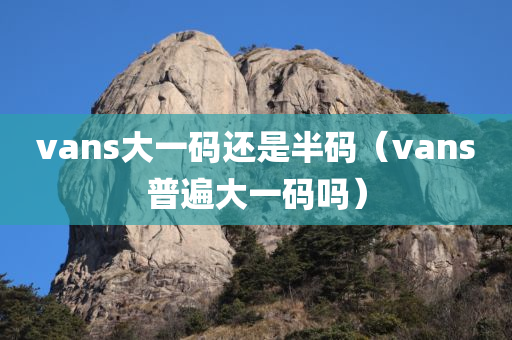 vans大一码还是半码（vans普遍大一码吗）