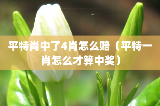 平特肖中了4肖怎么赔（平特一肖怎么才算中奖）