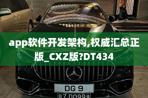 app软件开发架构,权威汇总正版_CXZ版?DT434