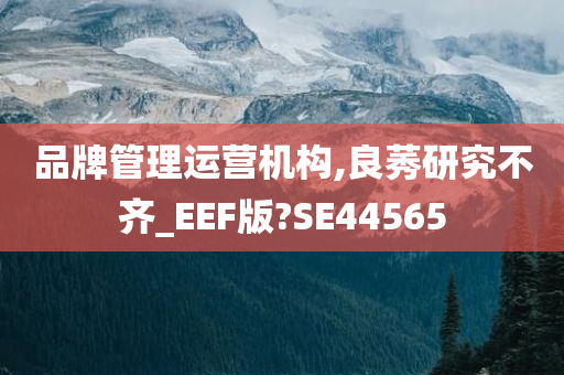 品牌管理运营机构,良莠研究不齐_EEF版?SE44565