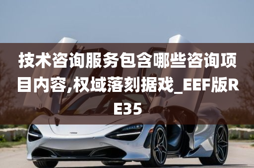 技术咨询服务包含哪些咨询项目内容,权域落刻据戏_EEF版RE35