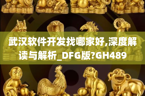 武汉软件开发找哪家好,深度解读与解析_DFG版?GH489