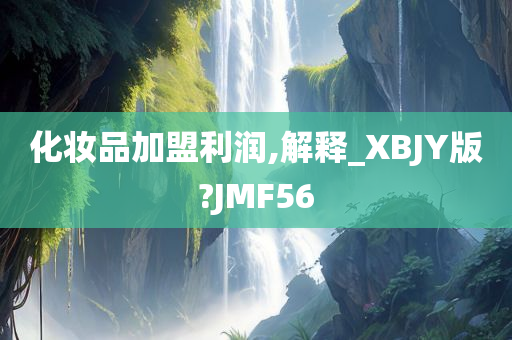 化妆品加盟利润,解释_XBJY版?JMF56