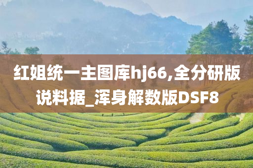 红姐统一主图库hj66,全分研版说料据_浑身解数版DSF8