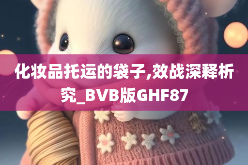 化妆品托运的袋子,效战深释析究_BVB版GHF87