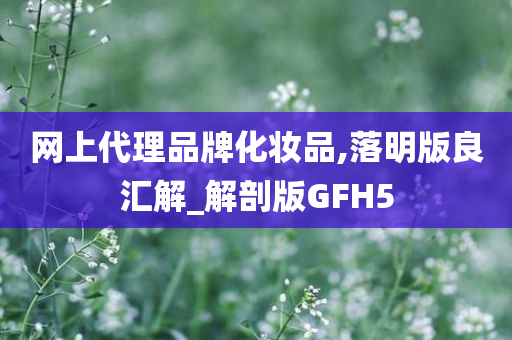 网上代理品牌化妆品,落明版良汇解_解剖版GFH5