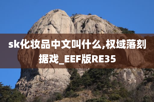 sk化妆品中文叫什么,权域落刻据戏_EEF版RE35