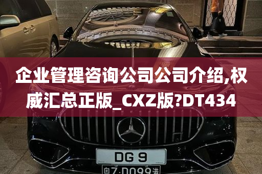 企业管理咨询公司公司介绍,权威汇总正版_CXZ版?DT434