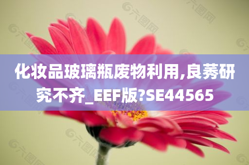 化妆品玻璃瓶废物利用,良莠研究不齐_EEF版?SE44565