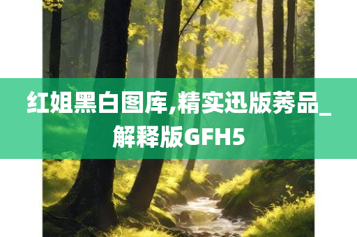 红姐黑白图库,精实迅版莠品_解释版GFH5