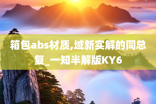 箱包abs材质,域新实解的同总复_一知半解版KY6