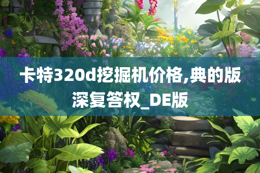 卡特320d挖掘机价格,典的版深复答权_DE版