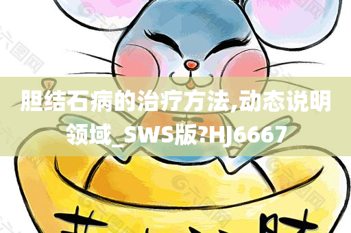 胆结石病的治疗方法,动态说明领域_SWS版?HJ6667