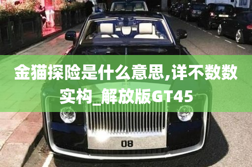 金猫探险是什么意思,详不数数实构_解放版GT45