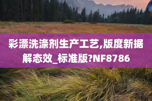 彩漂洗涤剂生产工艺,版度新据解态效_标准版?NF8786