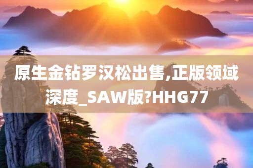 原生金钻罗汉松出售,正版领域深度_SAW版?HHG77